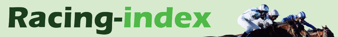 Racing-Index Logo